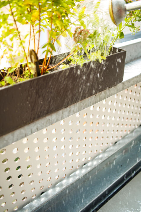 02 Balkon Blumen gießen.jpg